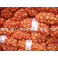 New Crop Fresh Yellow Onion From Shandong